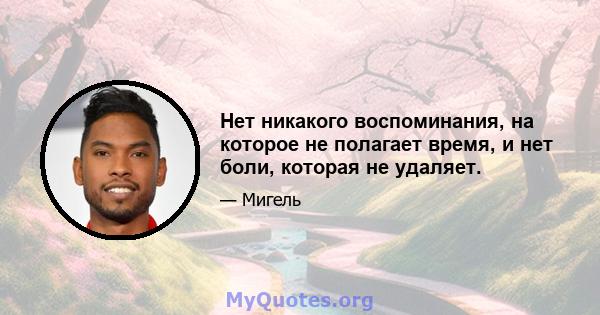 Нет никакого воспоминания, на которое не полагает время, и нет боли, которая не удаляет.