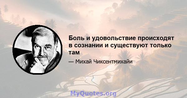 Боль и удовольствие происходят в сознании и существуют только там