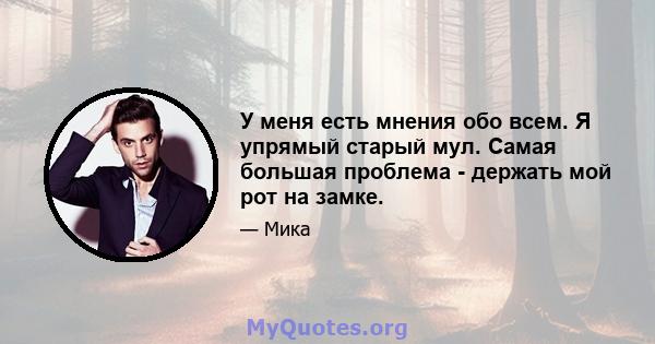 У меня есть мнения обо всем. Я упрямый старый мул. Самая большая проблема - держать мой рот на замке.