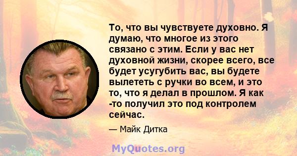 То, что вы чувствуете духовно. Я думаю, что многое из этого связано с этим. Если у вас нет духовной жизни, скорее всего, все будет усугубить вас, вы будете вылететь с ручки во всем, и это то, что я делал в прошлом. Я