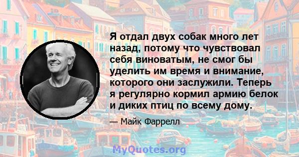 Я отдал двух собак много лет назад, потому что чувствовал себя виноватым, не смог бы уделить им время и внимание, которого они заслужили. Теперь я регулярно кормил армию белок и диких птиц по всему дому.