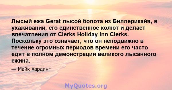 Лысый ежа Gerat лысой болота из Биллерикайя, в ухаживании, его единственное колют и делает впечатления от Clerks Holiday Inn Clerks. Поскольку это означает, что он неподвижно в течение огромных периодов времени его