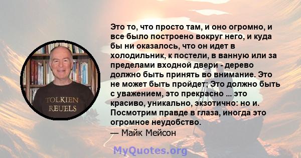 Это то, что просто там, и оно огромно, и все было построено вокруг него, и куда бы ни оказалось, что он идет в холодильник, к постели, в ванную или за пределами входной двери - дерево должно быть принять во внимание.