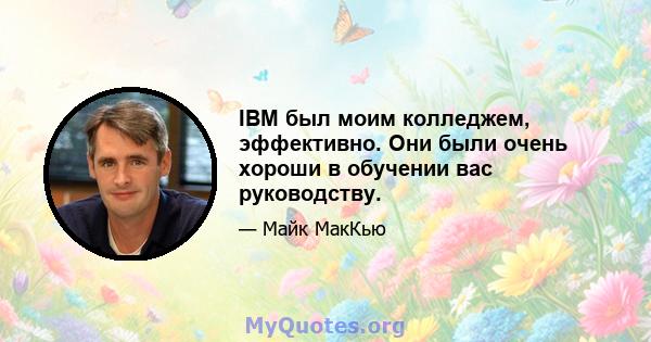 IBM был моим колледжем, эффективно. Они были очень хороши в обучении вас руководству.