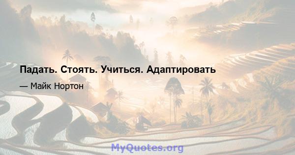 Падать. Стоять. Учиться. Адаптировать