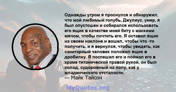 Однажды утром я проснулся и обнаружил, что мой любимый голубь, Джулиус, умер, я был опустошен и собирался использовать его ящик в качестве моей биту с маскими мячом, чтобы почтить его. Я оставил ящик на своем наклоне и