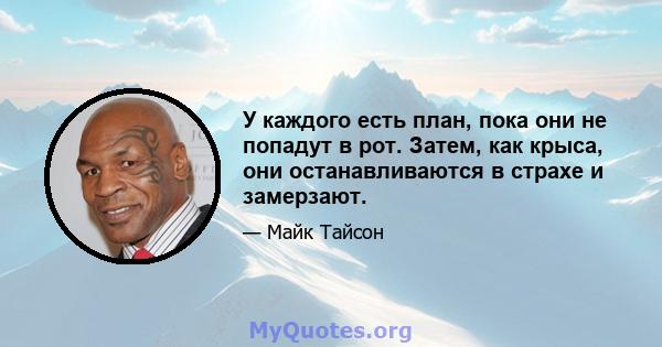 У каждого есть план, пока они не попадут в рот. Затем, как крыса, они останавливаются в страхе и замерзают.