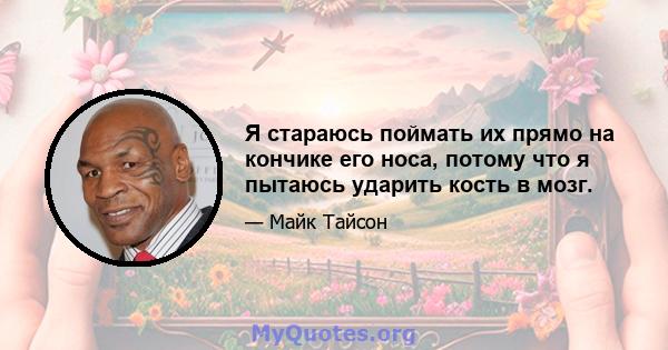 Я стараюсь поймать их прямо на кончике его носа, потому что я пытаюсь ударить кость в мозг.