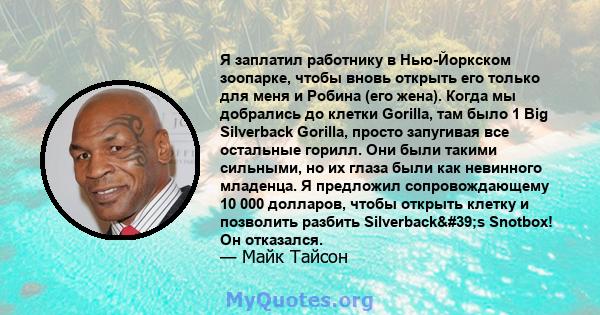 Я заплатил работнику в Нью-Йоркском зоопарке, чтобы вновь открыть его только для меня и Робина (его жена). Когда мы добрались до клетки Gorilla, там было 1 Big Silverback Gorilla, просто запугивая все остальные горилл.