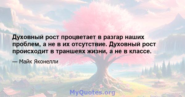 Духовный рост процветает в разгар наших проблем, а не в их отсутствие. Духовный рост происходит в траншеях жизни, а не в классе.