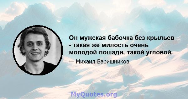 Он мужская бабочка без крыльев - такая же милость очень молодой лошади, такой угловой.