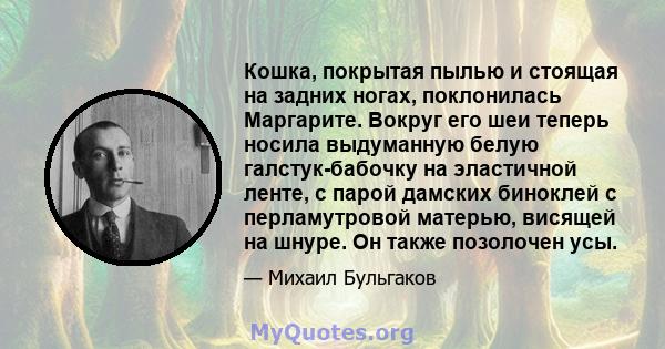 Кошка, покрытая пылью и стоящая на задних ногах, поклонилась Маргарите. Вокруг его шеи теперь носила выдуманную белую галстук-бабочку на эластичной ленте, с парой дамских биноклей с перламутровой матерью, висящей на