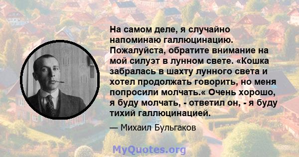 На самом деле, я случайно напоминаю галлюцинацию. Пожалуйста, обратите внимание на мой силуэт в лунном свете. «Кошка забралась в шахту лунного света и хотел продолжать говорить, но меня попросили молчать.« Очень хорошо, 