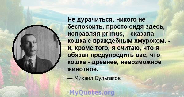 Не дурачиться, никого не беспокоить, просто сидя здесь, исправляя primus, - сказала кошка с враждебным хмуроком, - и, кроме того, я считаю, что я обязан предупредить вас, что кошка - древнее, невозможное животное.