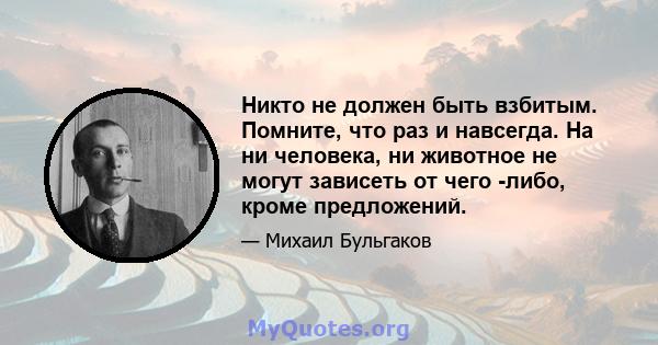 Никто не должен быть взбитым. Помните, что раз и навсегда. На ни человека, ни животное не могут зависеть от чего -либо, кроме предложений.