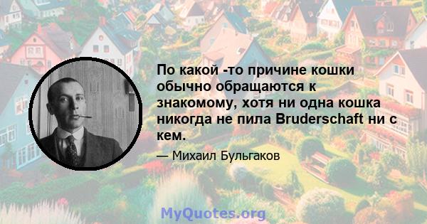 По какой -то причине кошки обычно обращаются к знакомому, хотя ни одна кошка никогда не пила Bruderschaft ни с кем.