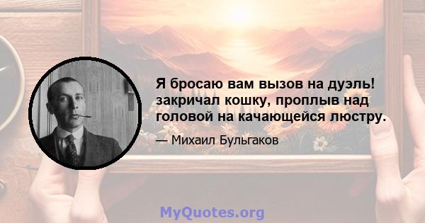 Я бросаю вам вызов на дуэль! закричал кошку, проплыв над головой на качающейся люстру.