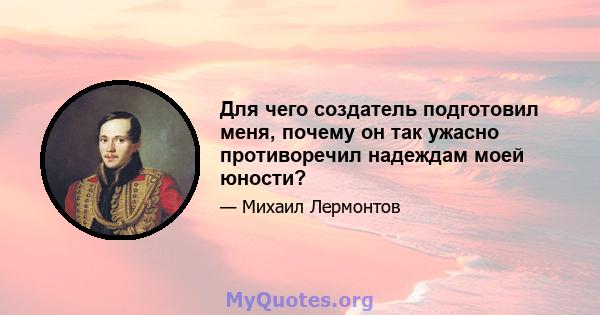 Для чего создатель подготовил меня, почему он так ужасно противоречил надеждам моей юности?