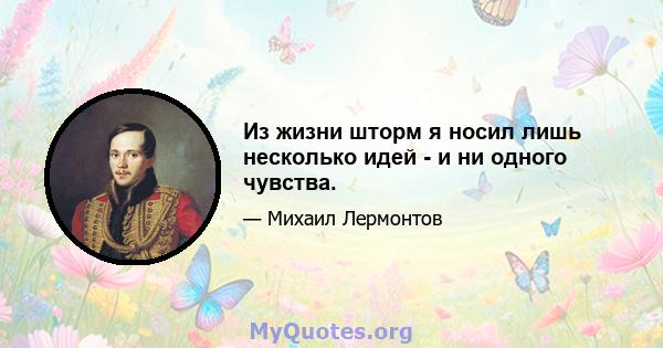 Из жизни шторм я носил лишь несколько идей - и ни одного чувства.