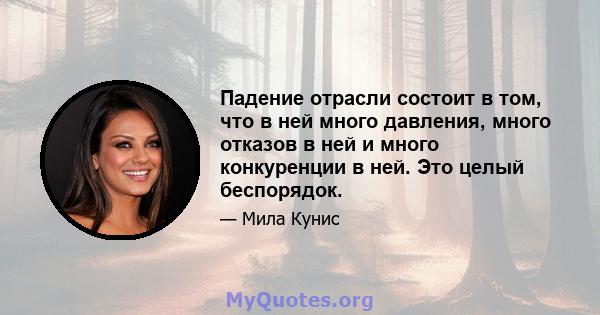 Падение отрасли состоит в том, что в ней много давления, много отказов в ней и много конкуренции в ней. Это целый беспорядок.