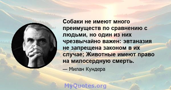 Собаки не имеют много преимуществ по сравнению с людьми, но один из них чрезвычайно важен: эвтаназия не запрещена законом в их случае; Животные имеют право на милосердную смерть.