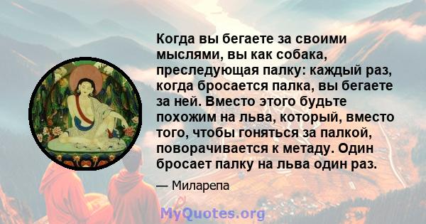 Когда вы бегаете за своими мыслями, вы как собака, преследующая палку: каждый раз, когда бросается палка, вы бегаете за ней. Вместо этого будьте похожим на льва, который, вместо того, чтобы гоняться за палкой,