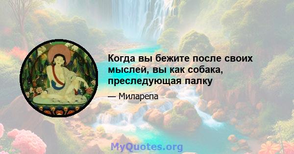 Когда вы бежите после своих мыслей, вы как собака, преследующая палку