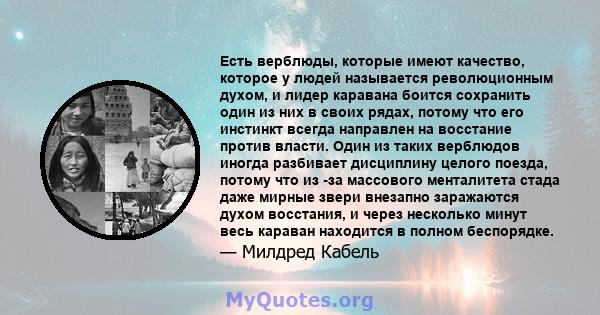 Есть верблюды, которые имеют качество, которое у людей называется революционным духом, и лидер каравана боится сохранить один из них в своих рядах, потому что его инстинкт всегда направлен на восстание против власти.