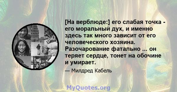 [На верблюде:] его слабая точка - его моральный дух, и именно здесь так много зависит от его человеческого хозяина. Разочарование фатально ... он теряет сердце, тонет на обочине и умирает.