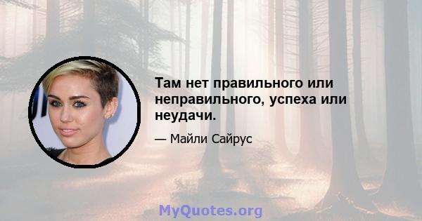 Там нет правильного или неправильного, успеха или неудачи.