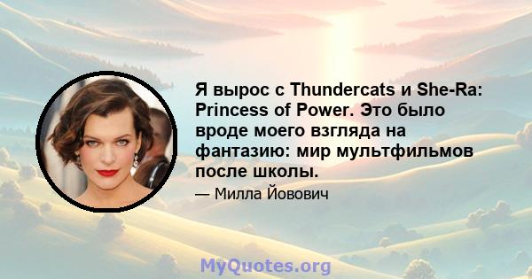 Я вырос с Thundercats и She-Ra: Princess of Power. Это было вроде моего взгляда на фантазию: мир мультфильмов после школы.