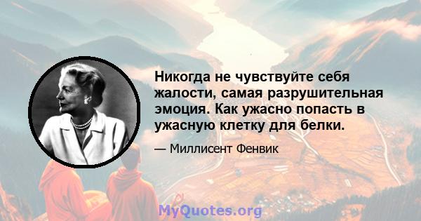 Никогда не чувствуйте себя жалости, самая разрушительная эмоция. Как ужасно попасть в ужасную клетку для белки.