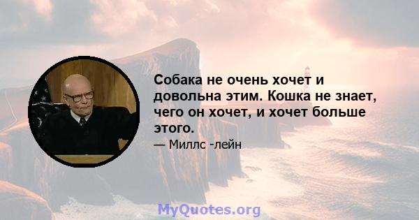 Собака не очень хочет и довольна этим. Кошка не знает, чего он хочет, и хочет больше этого.