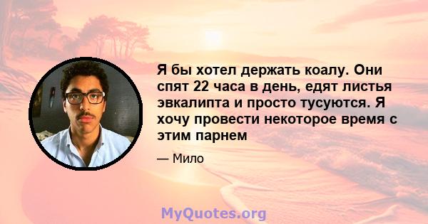 Я бы хотел держать коалу. Они спят 22 часа в день, едят листья эвкалипта и просто тусуются. Я хочу провести некоторое время с этим парнем