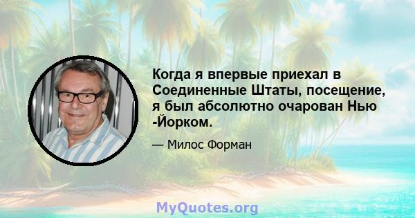 Когда я впервые приехал в Соединенные Штаты, посещение, я был абсолютно очарован Нью -Йорком.