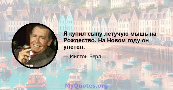 Я купил сыну летучую мышь на Рождество. На Новом году он улетел.