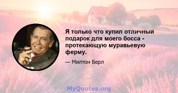 Я только что купил отличный подарок для моего босса - протекающую муравьевую ферму.