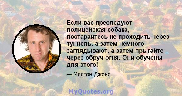 Если вас преследуют полицейская собака, постарайтесь не проходить через туннель, а затем немного заглядывают, а затем прыгайте через обруч огня. Они обучены для этого!