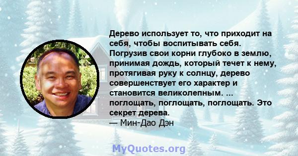 Дерево использует то, что приходит на себя, чтобы воспитывать себя. Погрузив свои корни глубоко в землю, принимая дождь, который течет к нему, протягивая руку к солнцу, дерево совершенствует его характер и становится