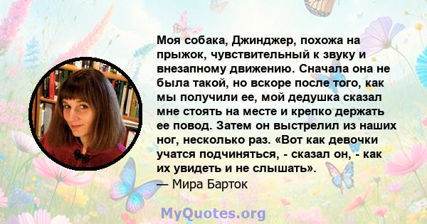 Моя собака, Джинджер, похожа на прыжок, чувствительный к звуку и внезапному движению. Сначала она не была такой, но вскоре после того, как мы получили ее, мой дедушка сказал мне стоять на месте и крепко держать ее