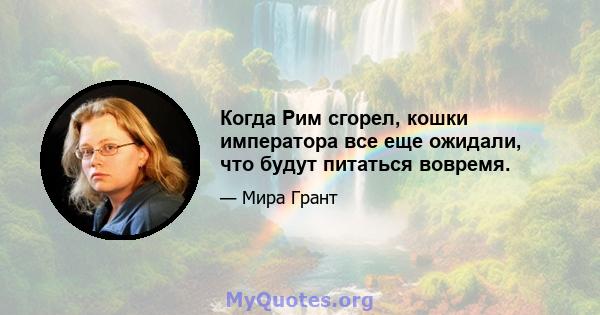 Когда Рим сгорел, кошки императора все еще ожидали, что будут питаться вовремя.