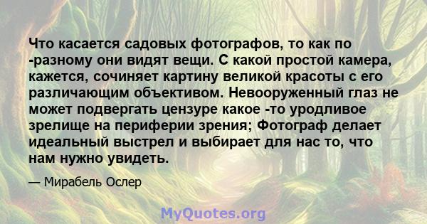 Что касается садовых фотографов, то как по -разному они видят вещи. С какой простой камера, кажется, сочиняет картину великой красоты с его различающим объективом. Невооруженный глаз не может подвергать цензуре какое