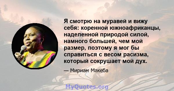 Я смотрю на муравей и вижу себя: коренной южноафриканцы, наделенной природой силой, намного большей, чем мой размер, поэтому я мог бы справиться с весом расизма, который сокрушает мой дух.