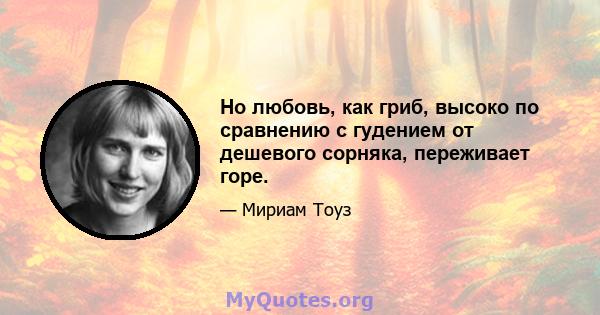 Но любовь, как гриб, высоко по сравнению с гудением от дешевого сорняка, переживает горе.