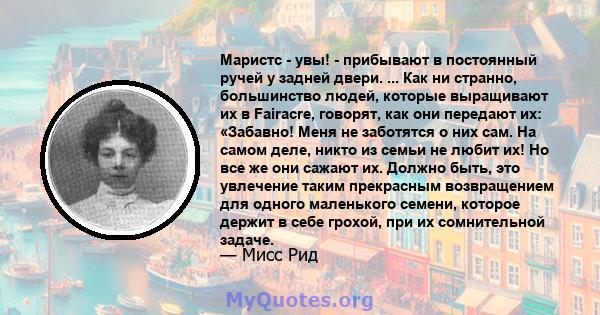 Маристс - увы! - прибывают в постоянный ручей у задней двери. ... Как ни странно, большинство людей, которые выращивают их в Fairacre, говорят, как они передают их: «Забавно! Меня не заботятся о них сам. На самом деле,