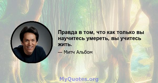 Правда в том, что как только вы научитесь умереть, вы учитесь жить.