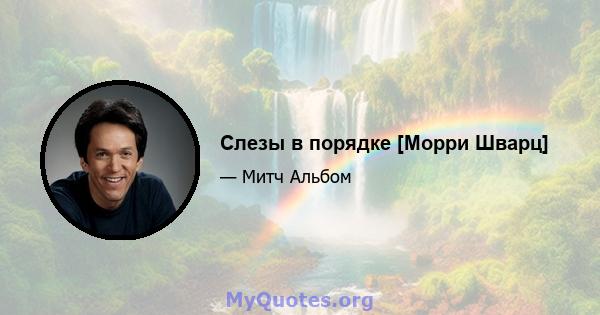 Слезы в порядке [Морри Шварц]