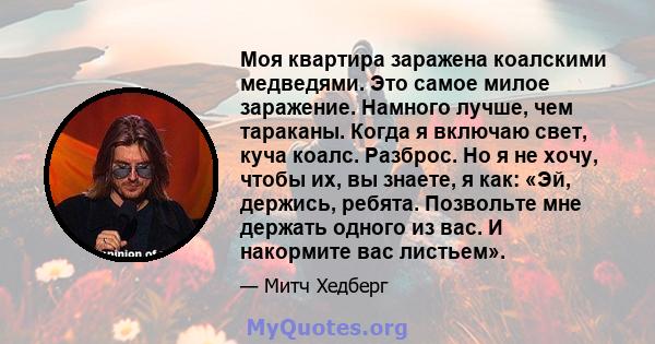 Моя квартира заражена коалскими медведями. Это самое милое заражение. Намного лучше, чем тараканы. Когда я включаю свет, куча коалс. Разброс. Но я не хочу, чтобы их, вы знаете, я как: «Эй, держись, ребята. Позвольте мне 