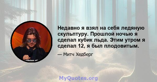 Недавно я взял на себя ледяную скульптуру. Прошлой ночью я сделал кубик льда. Этим утром я сделал 12, я был плодовитым.