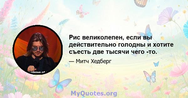 Рис великолепен, если вы действительно голодны и хотите съесть две тысячи чего -то.